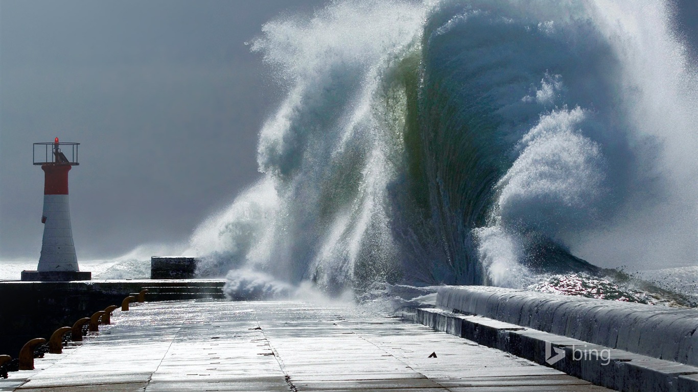 Février 2015 fonds d'écran HD Bing #5 - 1366x768