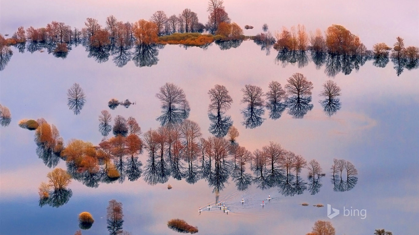 Février 2015 fonds d'écran HD Bing #15 - 1366x768