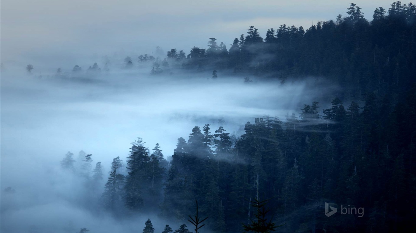 Février 2015 fonds d'écran HD Bing #22 - 1366x768