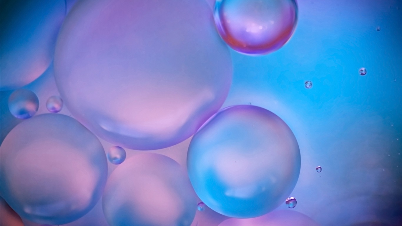 藝術攝影,Windows 8 高清壁紙 #2 - 1366x768