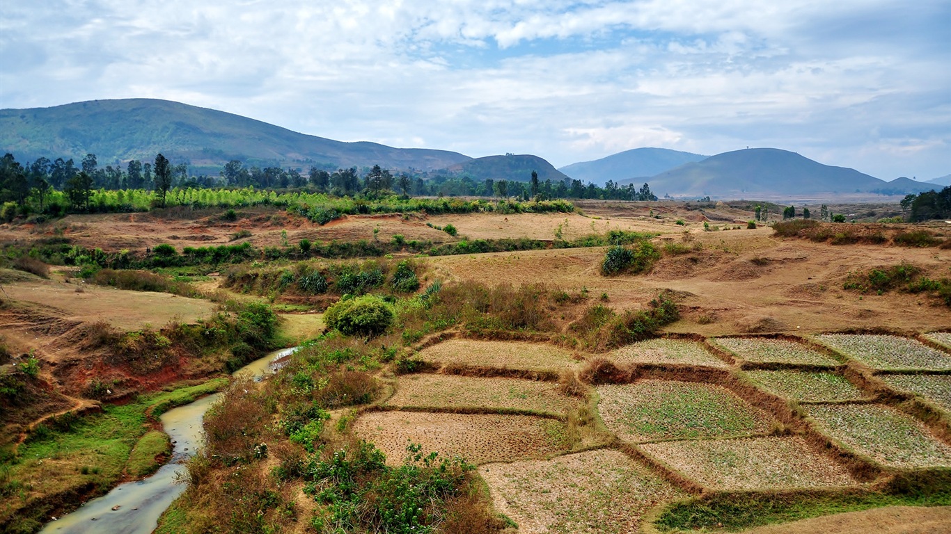 田园风景，Windows 8 高清壁纸1 - 1366x768