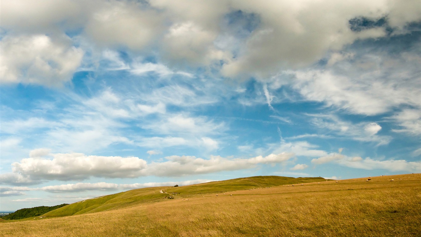 Venkovská krajina, Windows 8 HD tapety na plochu #5 - 1366x768