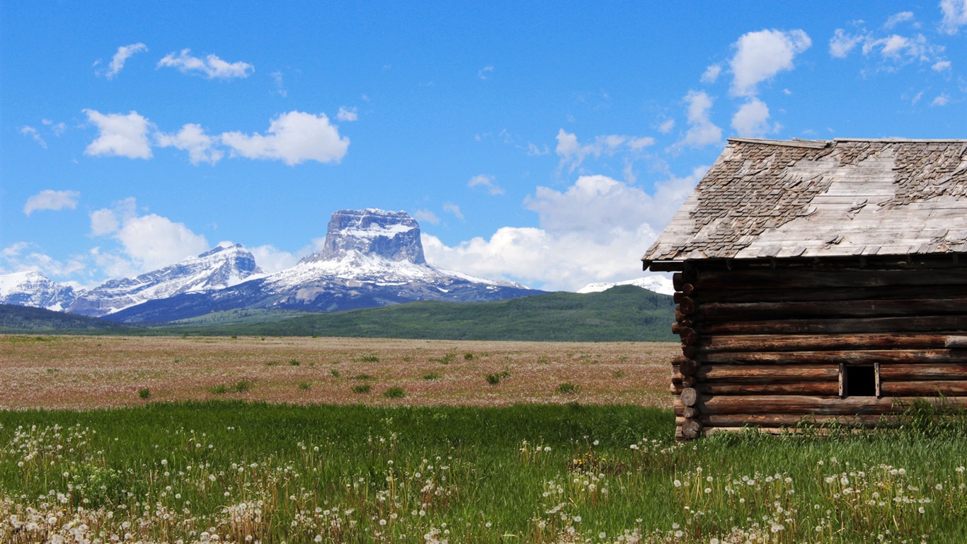 田園風景、Windows 8のHDの壁紙 #18 - 1366x768