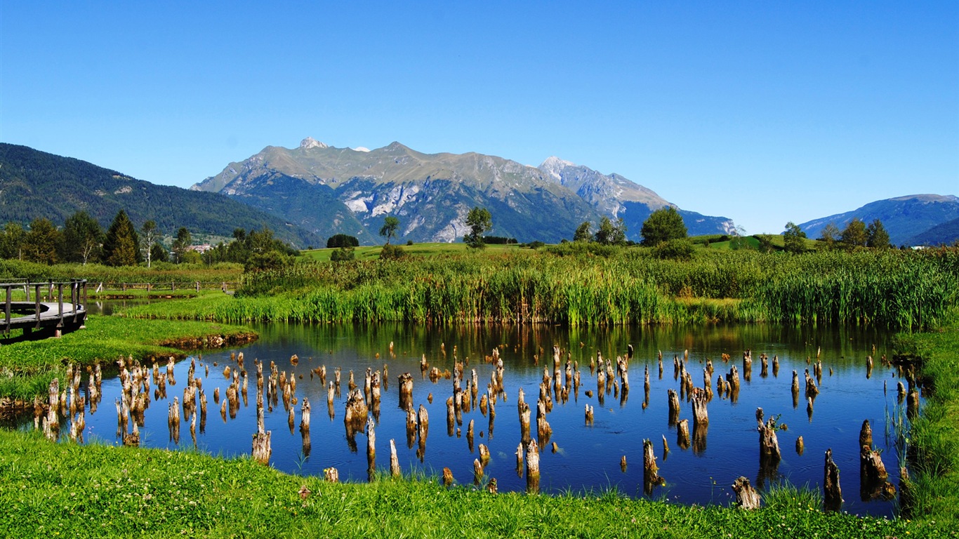 田园风景，Windows 8 高清壁纸21 - 1366x768