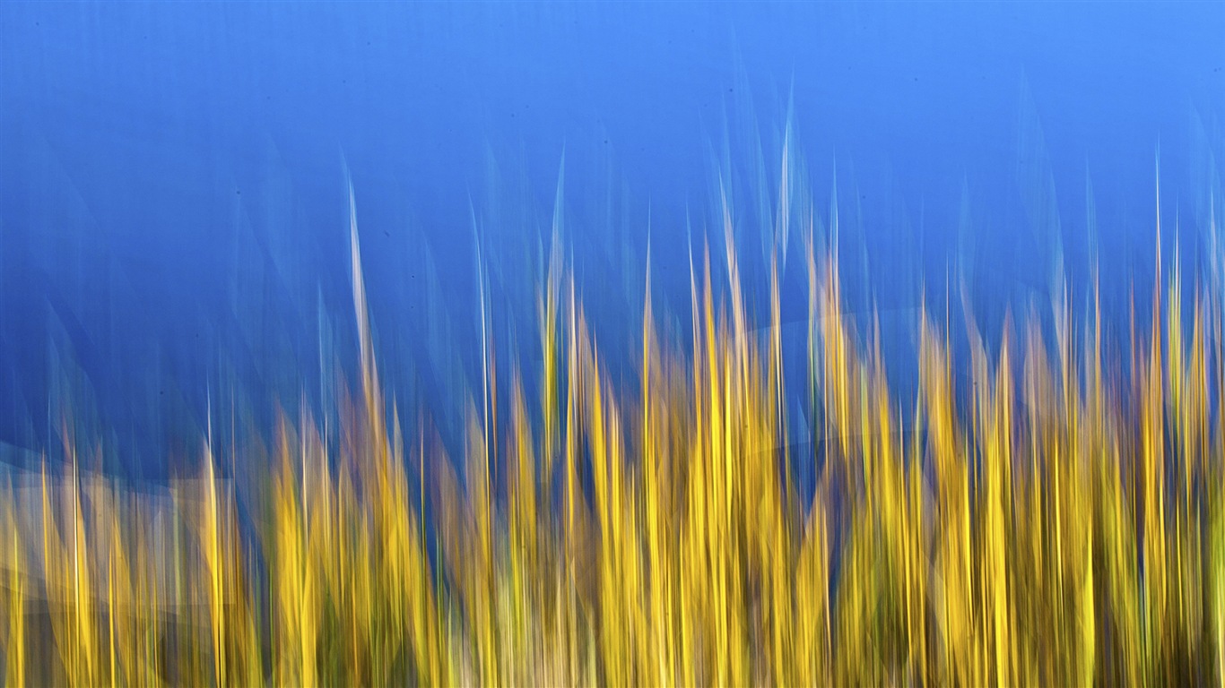 Windows 10 預覽版高清壁紙 #23 - 1366x768