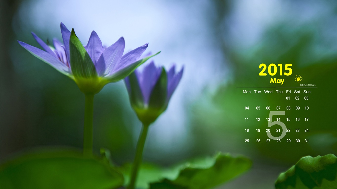 2015年5月 月历壁纸(一)1 - 1366x768