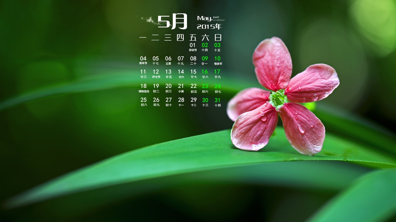 05. 2015 kalendář tapety (1) #8 - 1366x768