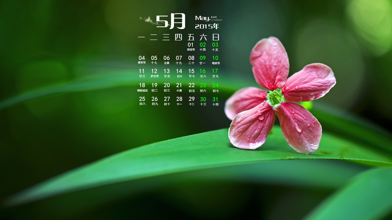 Mai 2015 Kalender Wallpaper (1) #8 - 1366x768