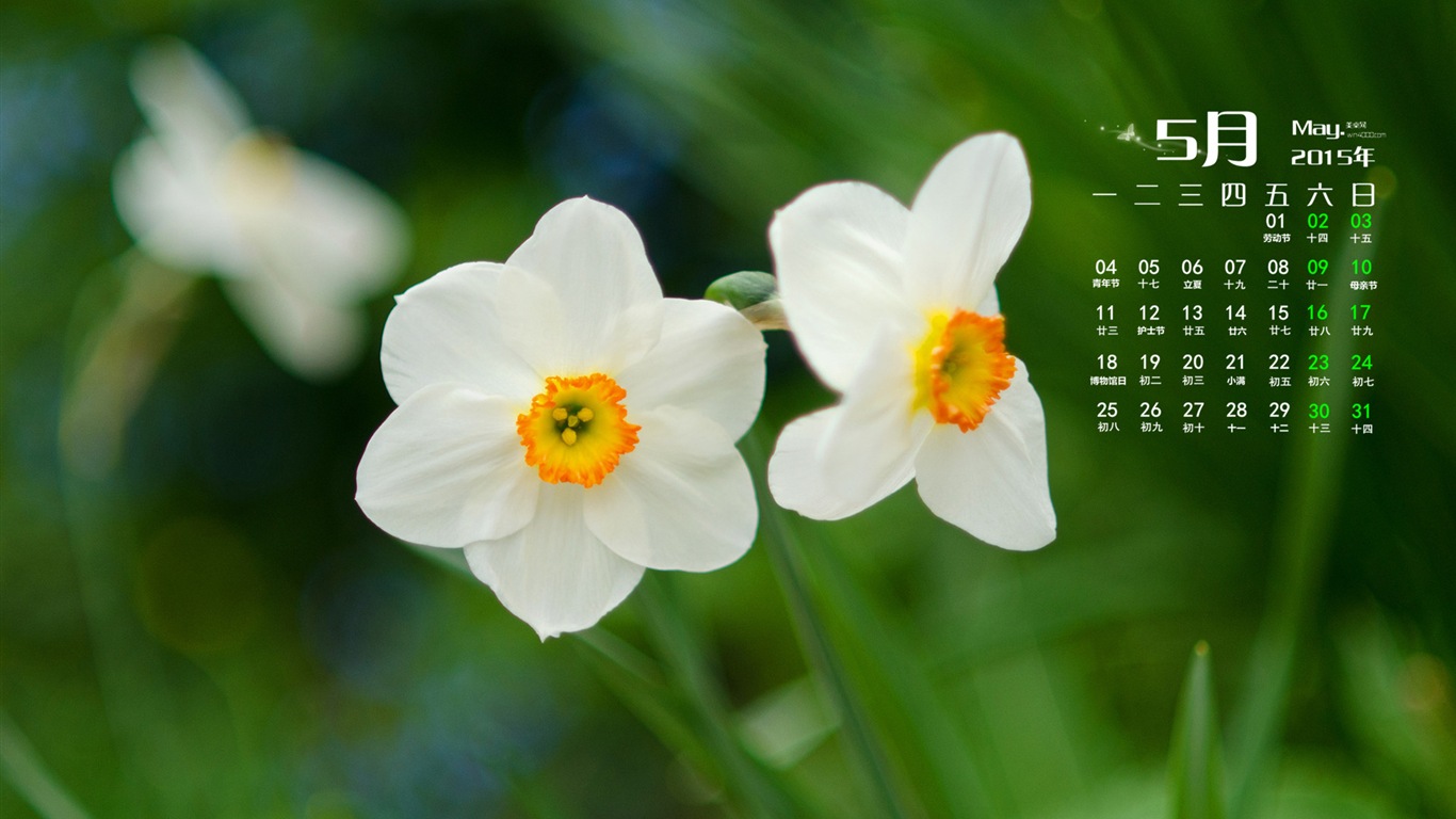 2015年5月 月历壁纸(一)12 - 1366x768