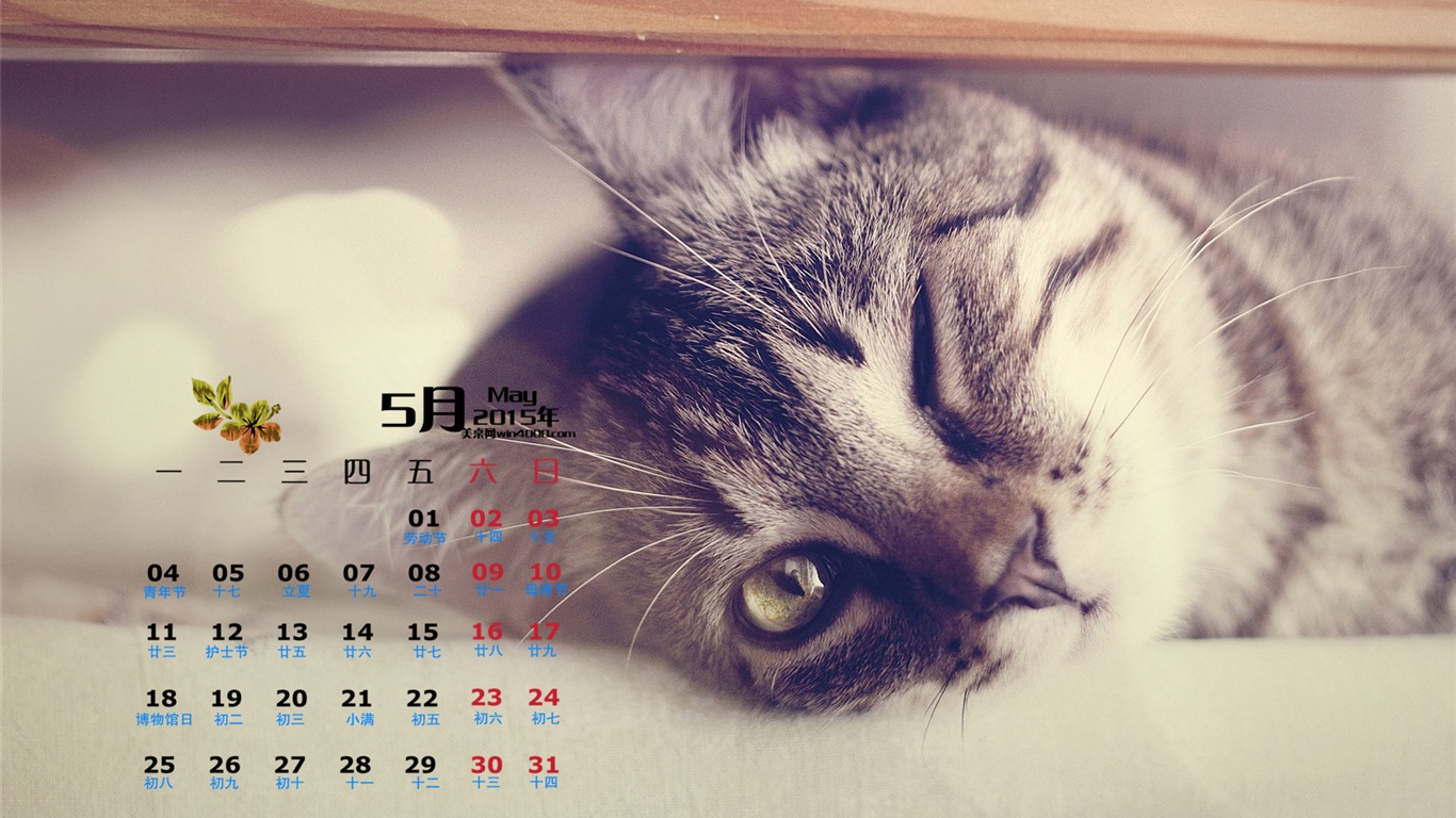 Mai 2015 Kalender Wallpaper (1) #14 - 1366x768
