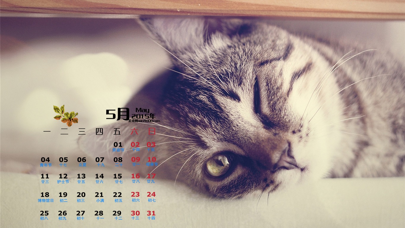 May 2015 calendar wallpaper (1) #14 - 1366x768