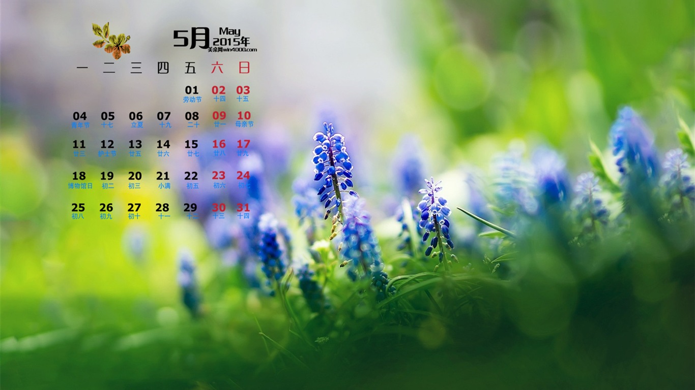 Mai 2015 Kalender Wallpaper (1) #16 - 1366x768