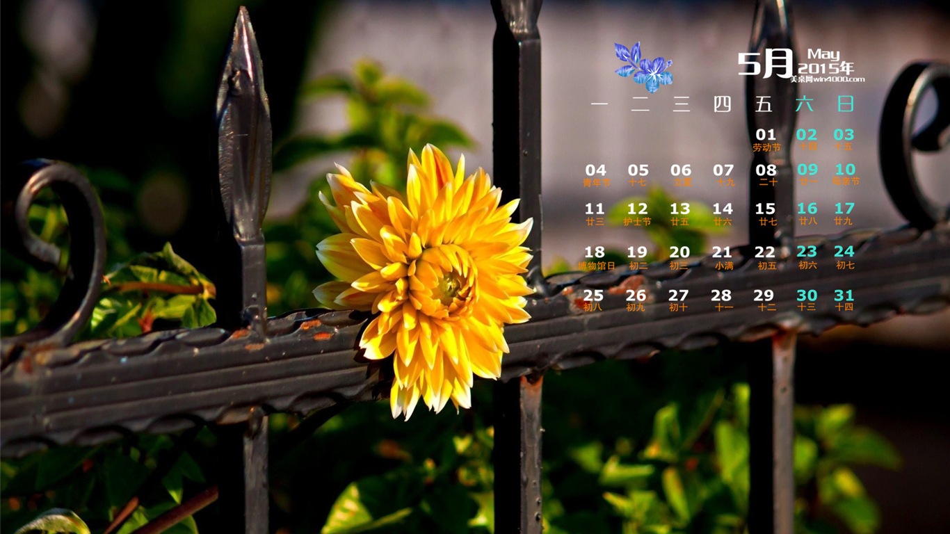 2015年5月 月曆壁紙(二) #3 - 1366x768