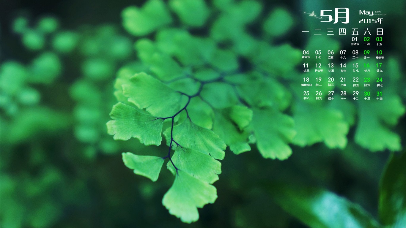 2015年5月 月曆壁紙(二) #5 - 1366x768