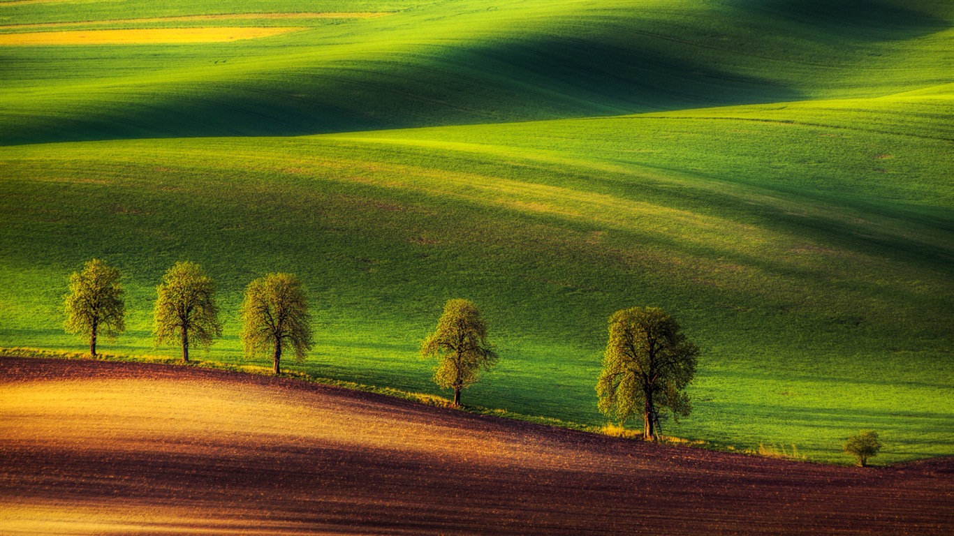 Windows-10 Vorschau Wallpapers Pack (3) #8 - 1366x768