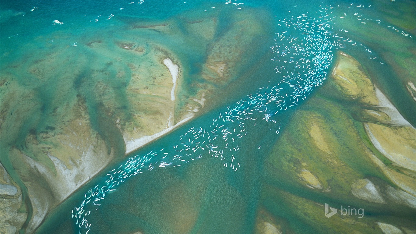 2015年3月 Bing必應高清壁紙 #5 - 1366x768