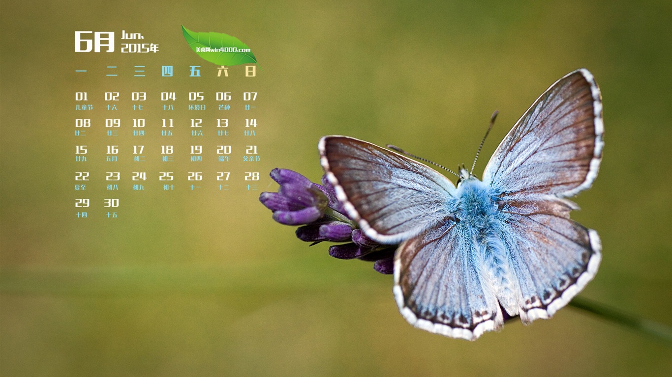 Juni 2015 Kalender Wallpaper (1) #6 - 1366x768