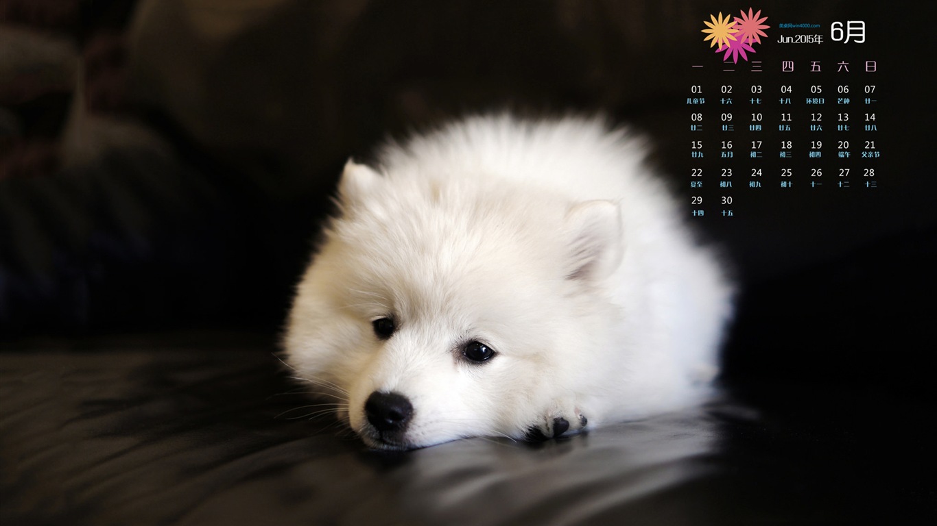 June 2015 calendar wallpaper (1) #9 - 1366x768