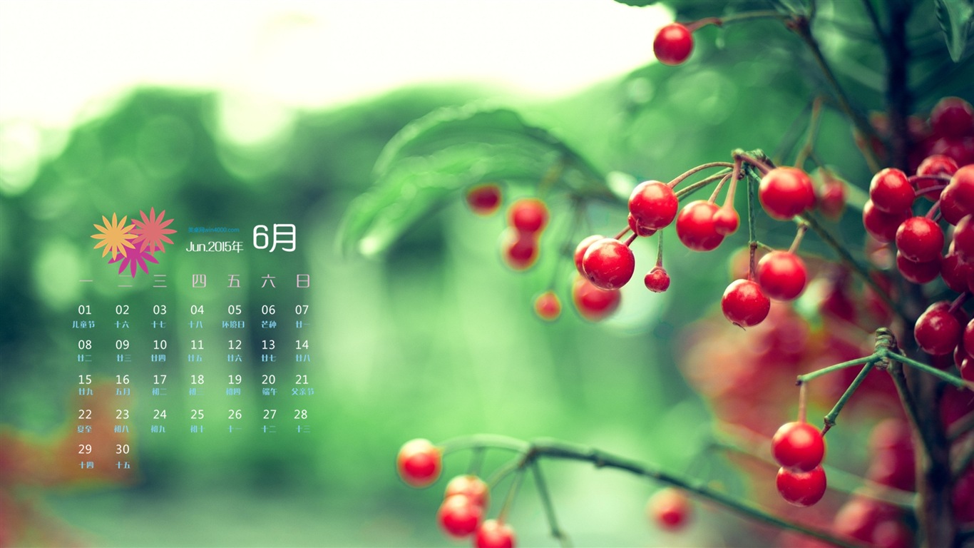 Juni 2015 Kalender Wallpaper (1) #10 - 1366x768