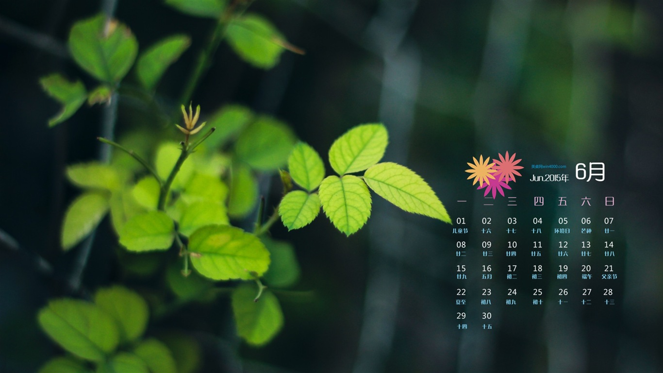 Juni 2015 Kalender Wallpaper (1) #12 - 1366x768