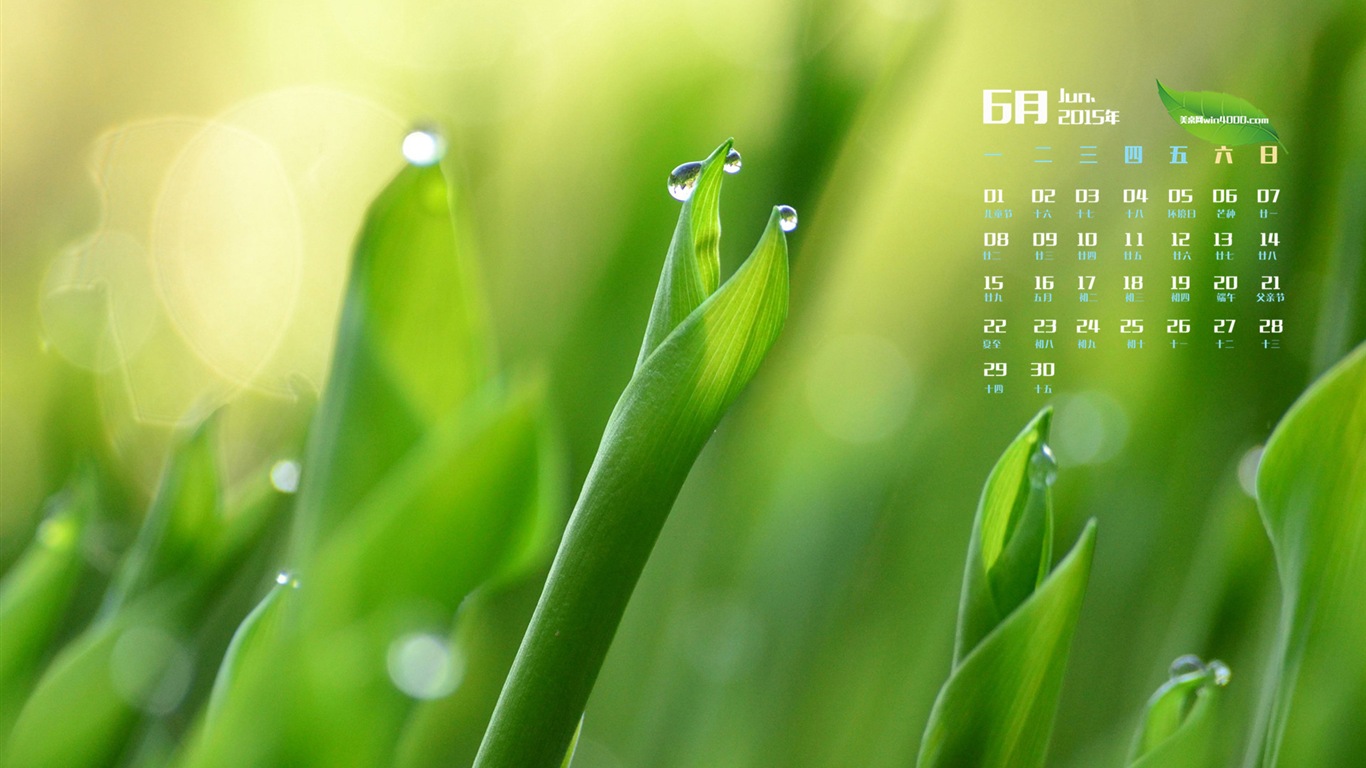 Juni 2015 Kalender Wallpaper (1) #17 - 1366x768