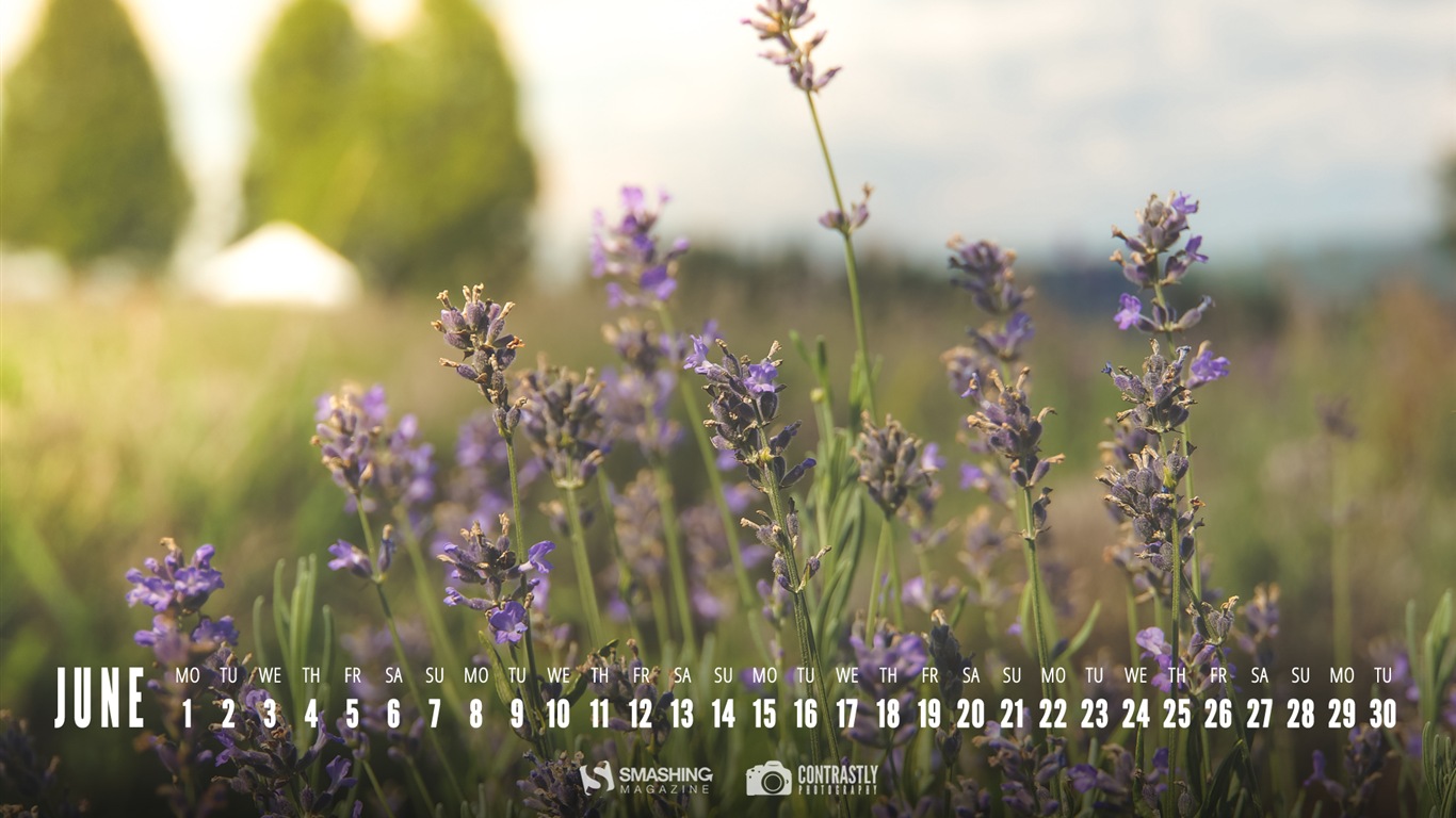 June 2015 calendar wallpaper (2) #9 - 1366x768