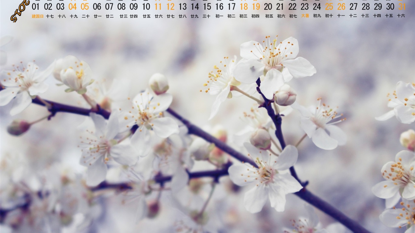 2015年7月 月曆壁紙(一) #10 - 1366x768