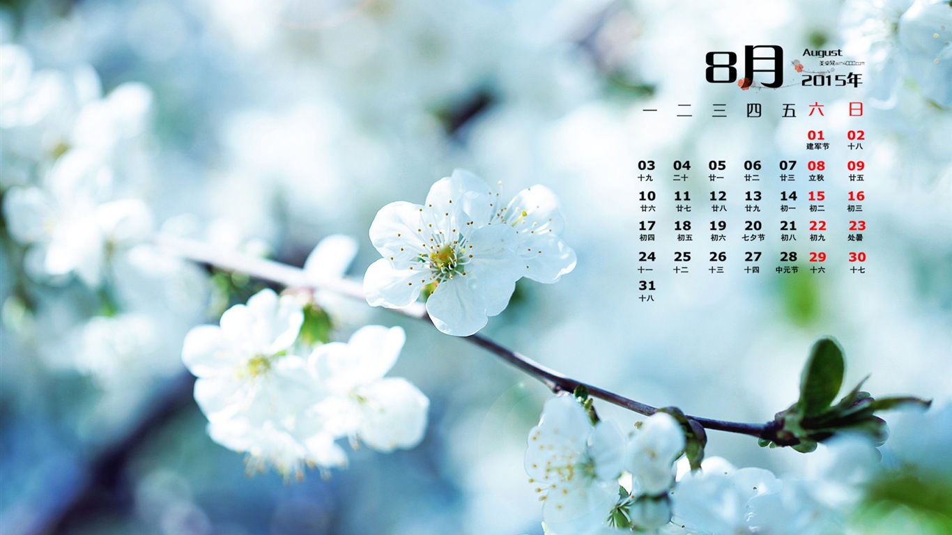 August 2015 Kalender Wallpaper (1) #2 - 1366x768