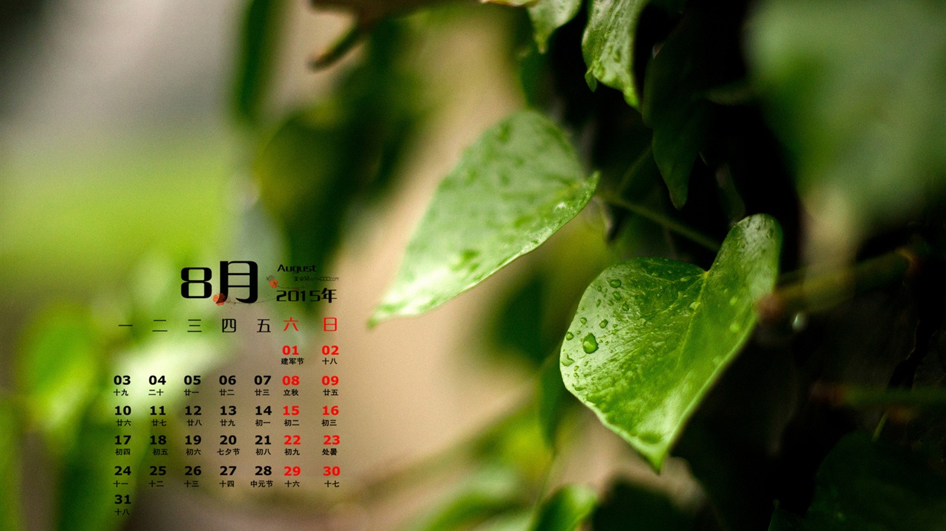 2015年8月 月曆壁紙(一) #11 - 1366x768