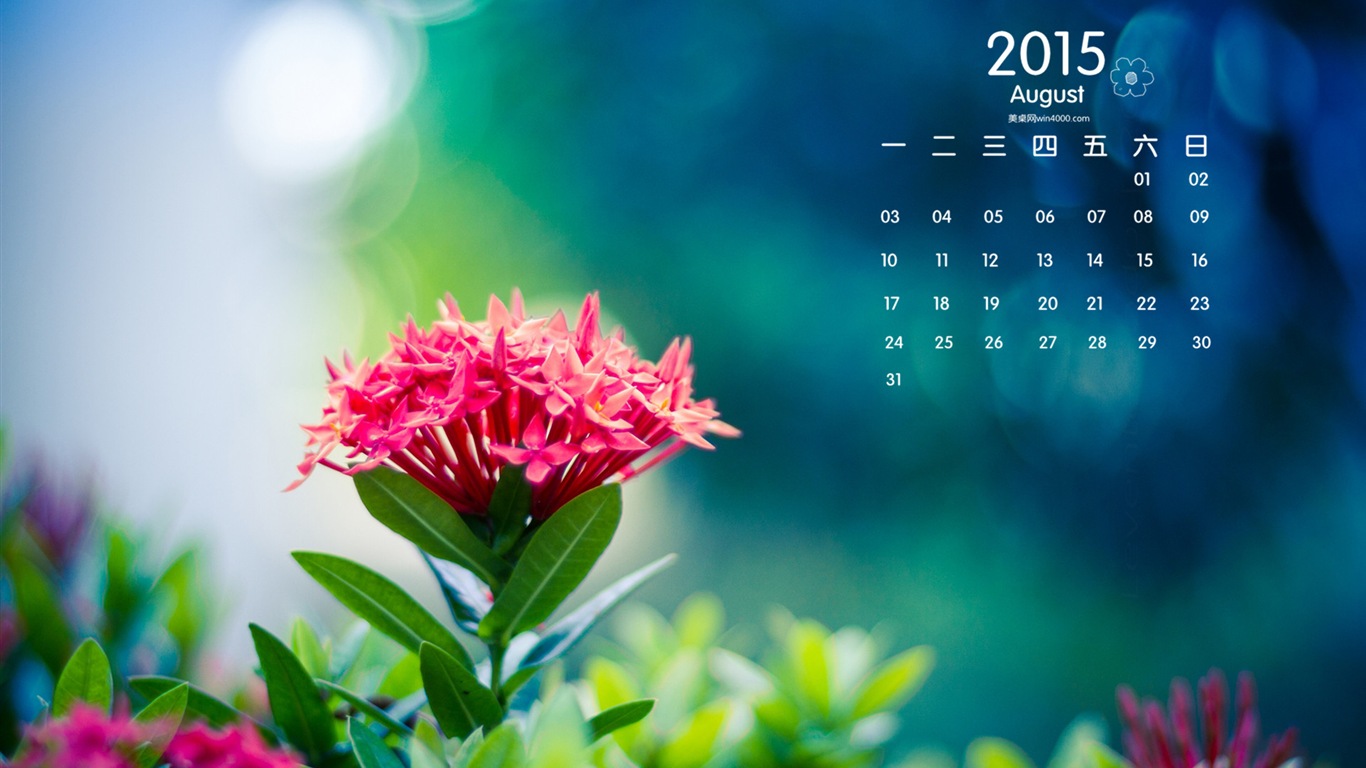 August 2015 calendar wallpaper (1) #12 - 1366x768