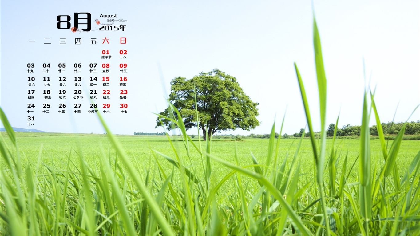 August 2015 calendar wallpaper (1) #13 - 1366x768