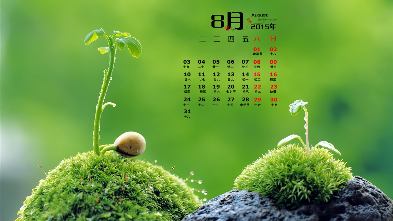 August 2015 Kalender Wallpaper (1) #16 - 1366x768