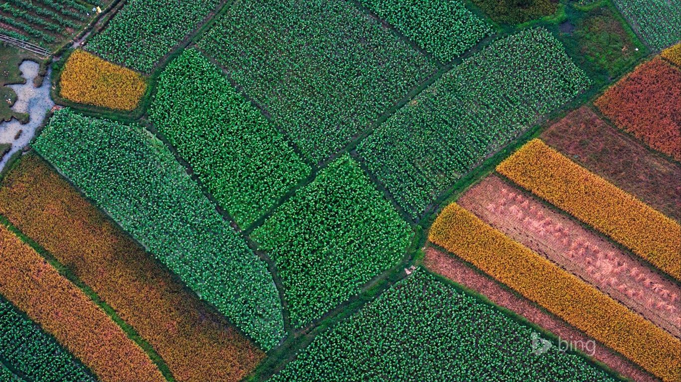 Avril 2015 fonds d'écran HD Bing #16 - 1366x768