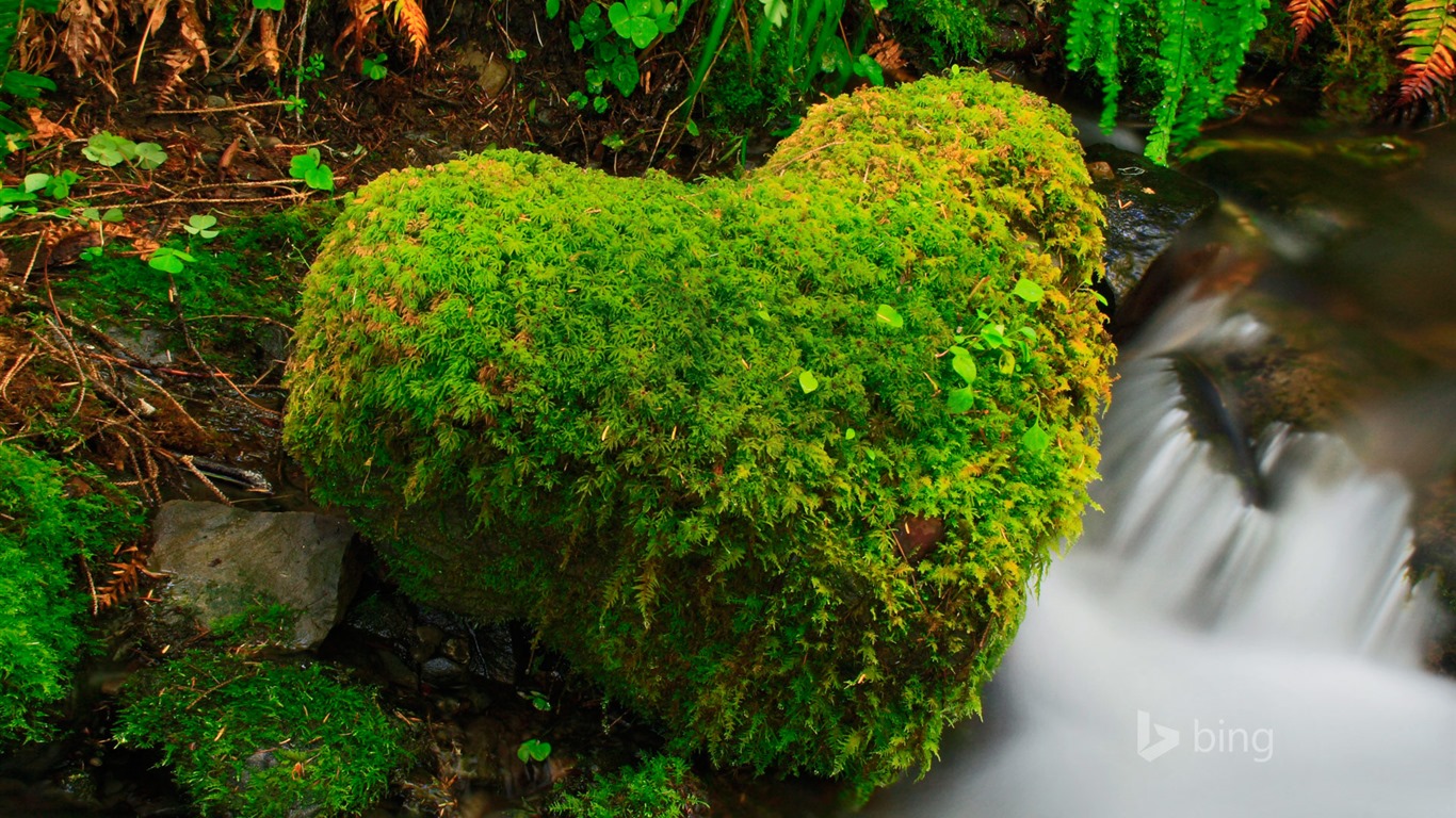 April 2015 Bing HD wallpapers #20 - 1366x768