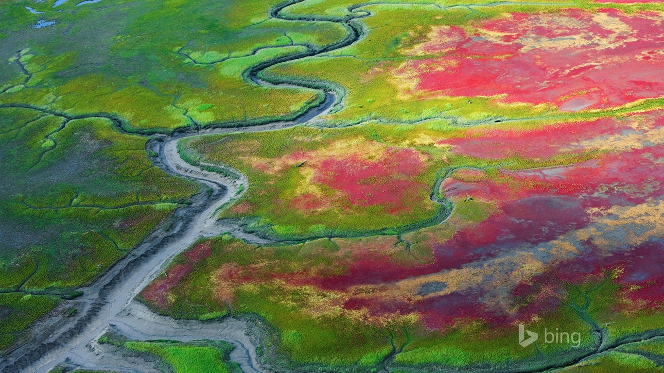 May 2015 Bing HD wallpapers #24 - 1366x768
