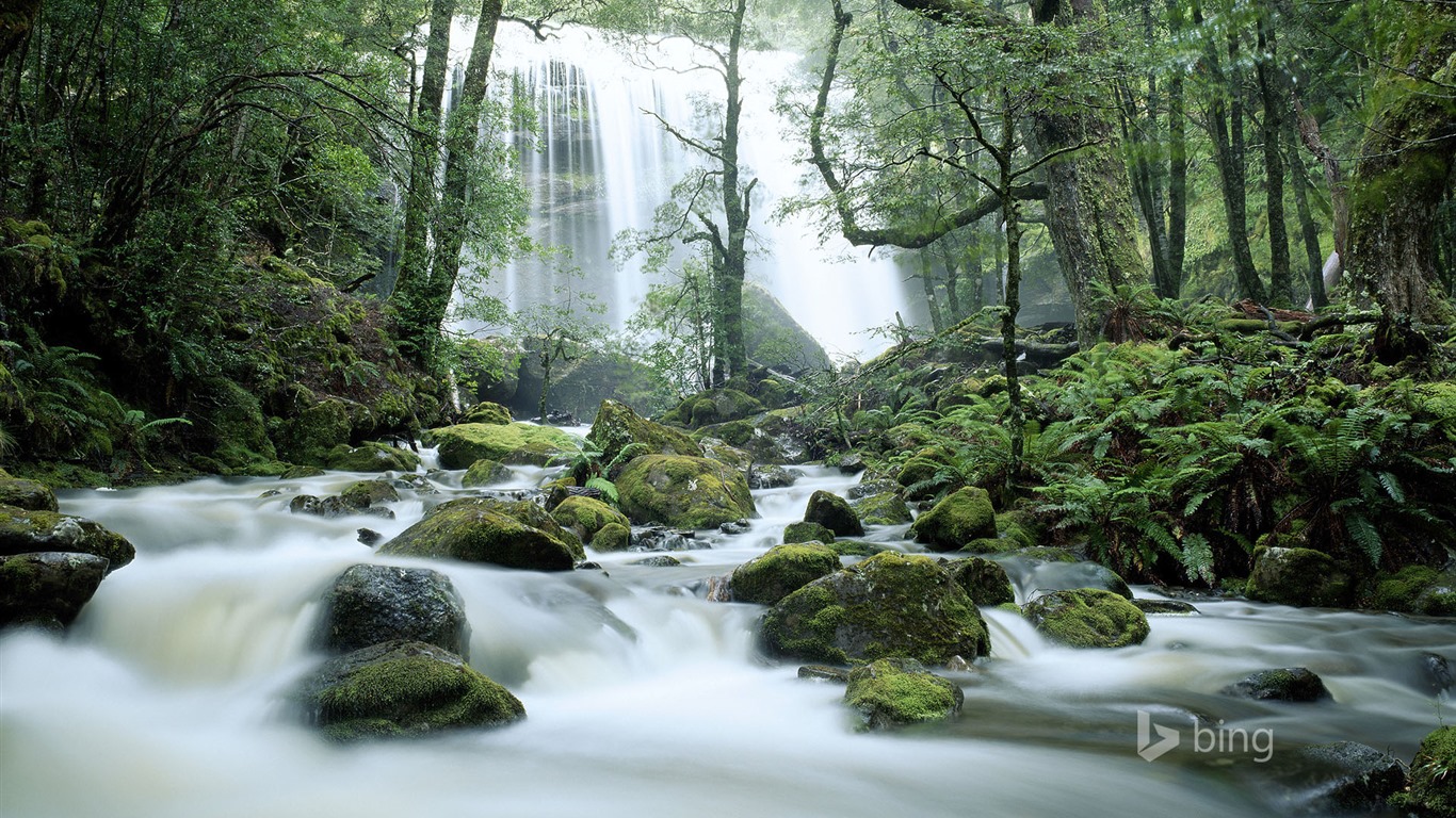 Mai 2015 fonds d'écran HD Bing #27 - 1366x768