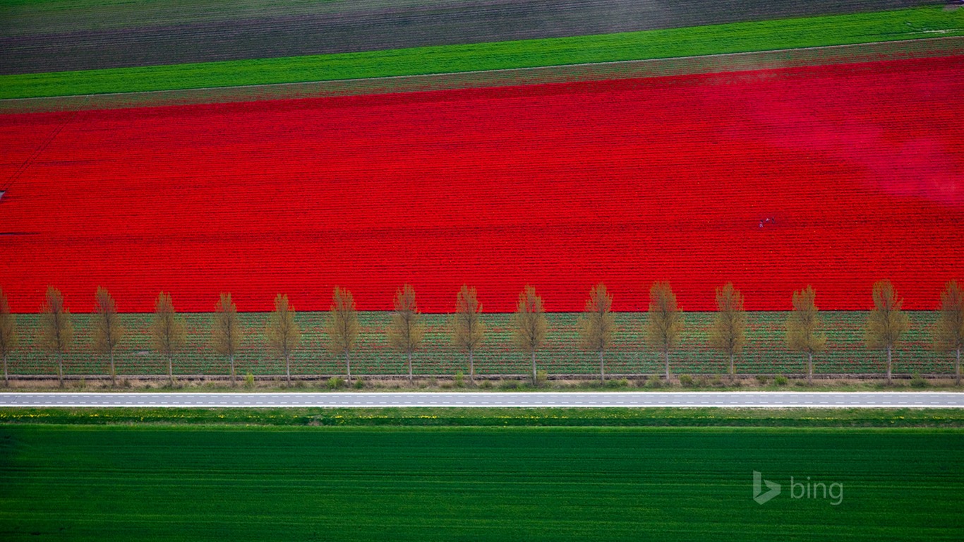 2015年5月 Bing必應高清壁紙 #30 - 1366x768