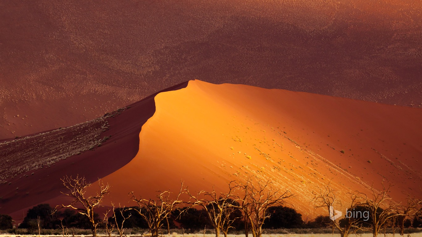 De mayo de 2015 fondos de pantalla HD Bing #31 - 1366x768