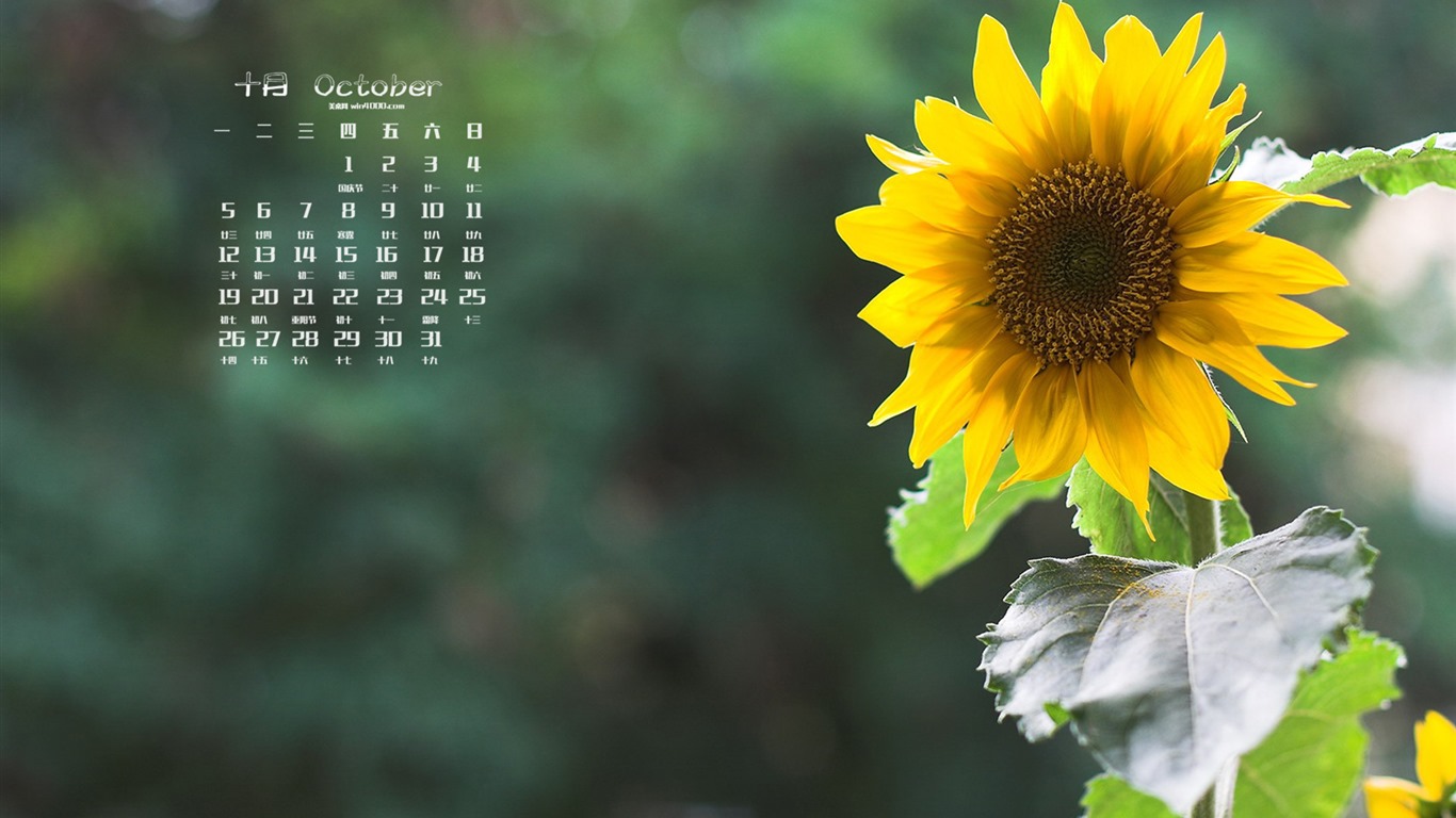 October 2015 calendar wallpaper (1) #2 - 1366x768