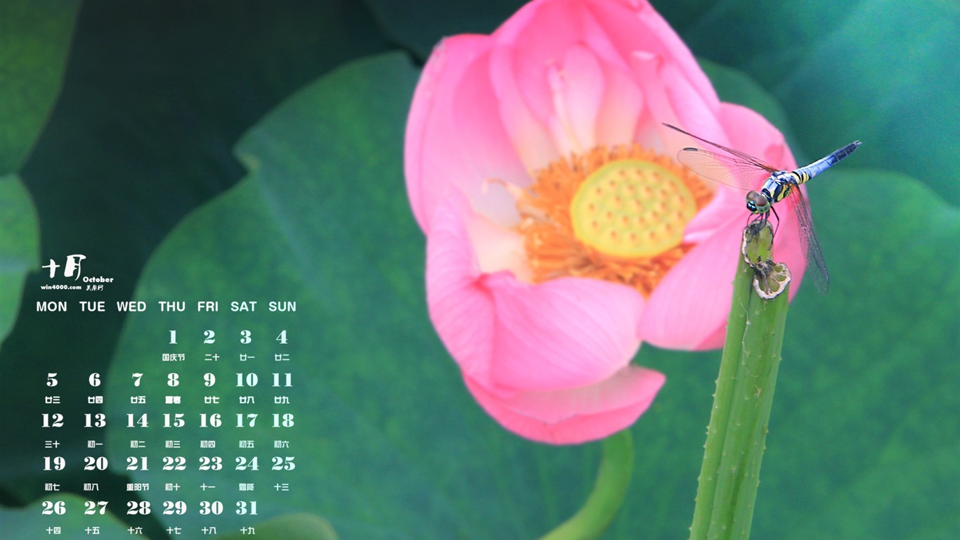 Oktober 2015 Kalender Wallpaper (1) #8 - 1366x768