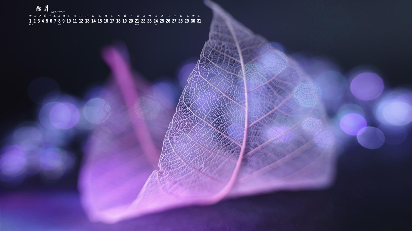 2015年10月 月曆壁紙(一) #17 - 1366x768