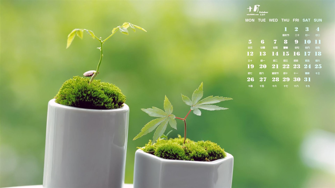 Oktober 2015 Kalender Wallpaper (1) #18 - 1366x768