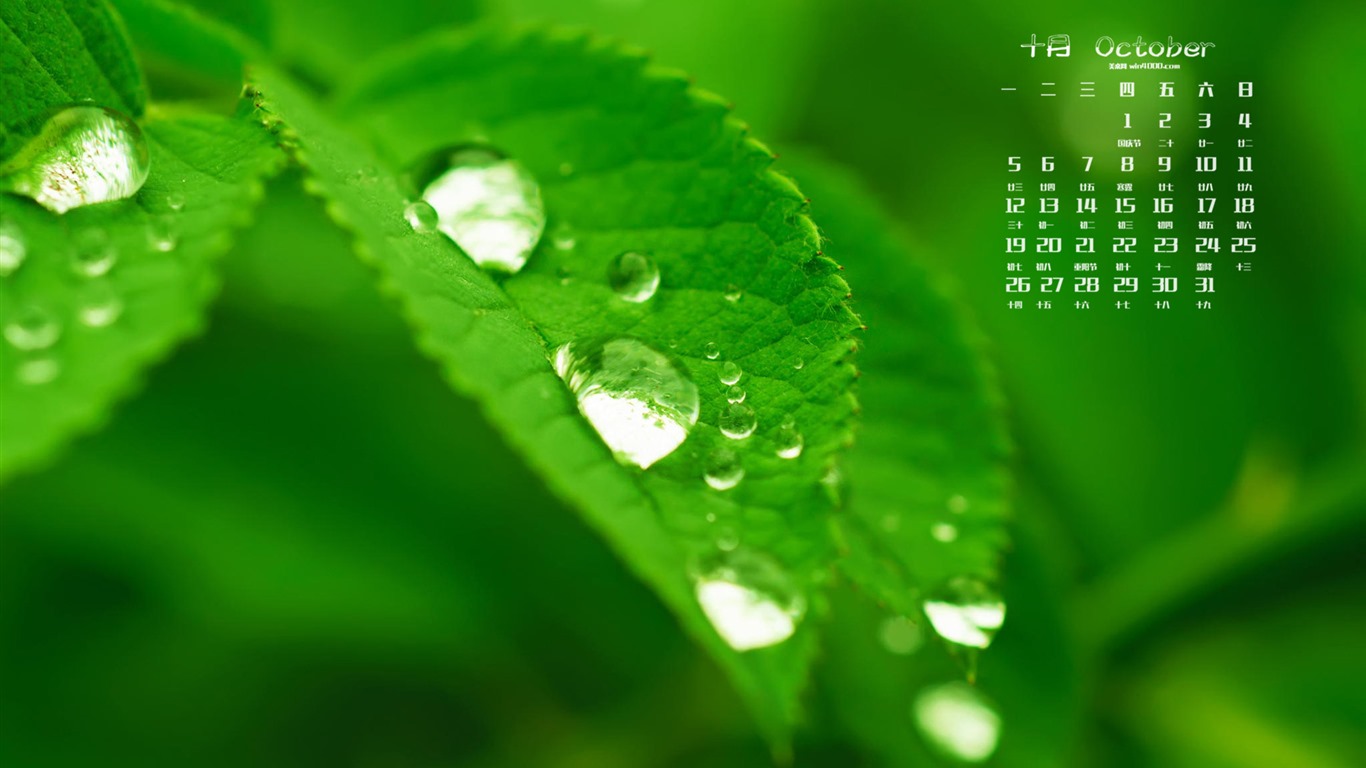 Října 2015 kalendář tapety (2) #5 - 1366x768