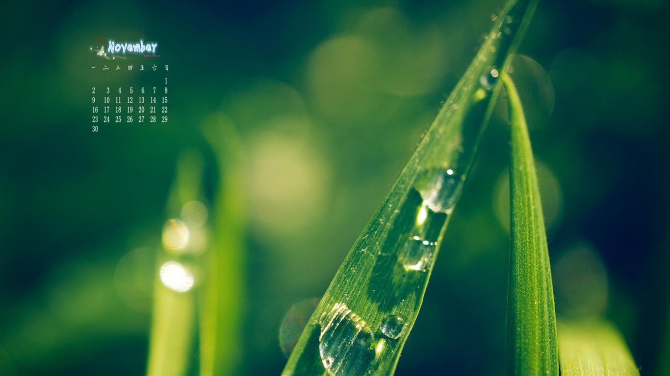 November 2015 Calendar wallpaper (1) #5 - 1366x768