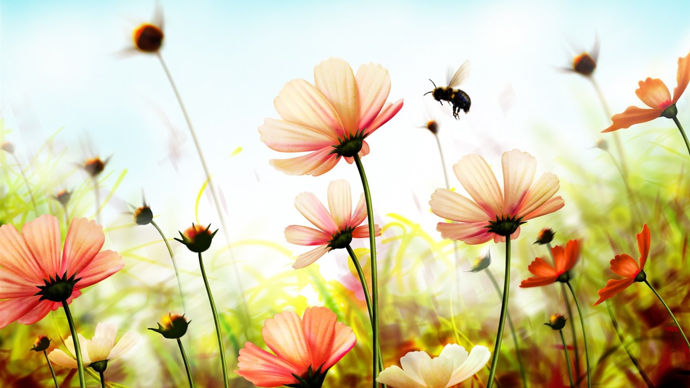 美麗的鮮花與露水 高清壁紙 #10 - 1366x768