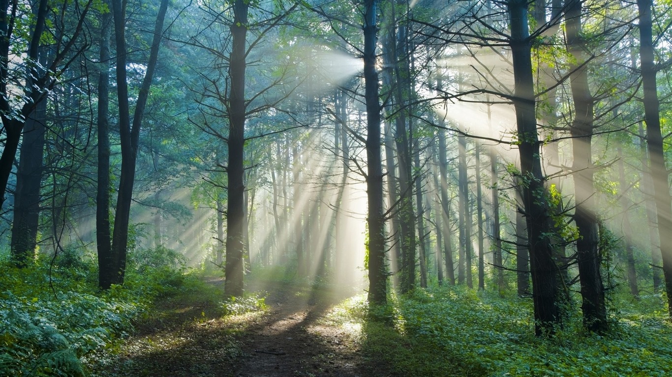 Les arbres, les montagnes, l'eau, lever et coucher du paysage de nature, fonds d'écran HD #23 - 1366x768