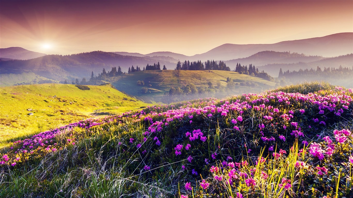 Les arbres, les montagnes, l'eau, lever et coucher du paysage de nature, fonds d'écran HD #31 - 1366x768