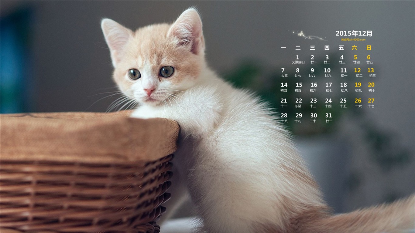 2015年12月 月曆壁紙(一) #5 - 1366x768