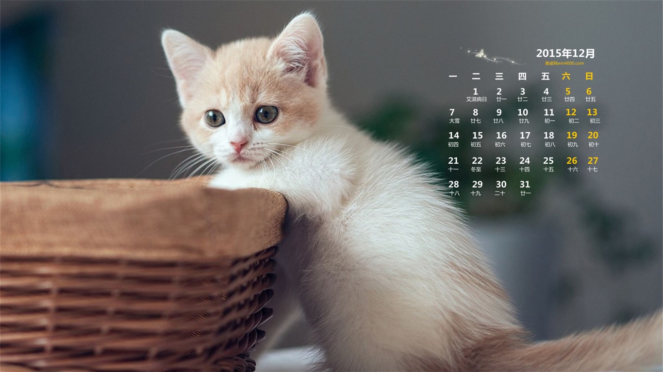 December 2015 Calendar wallpaper (1) #5 - 1366x768