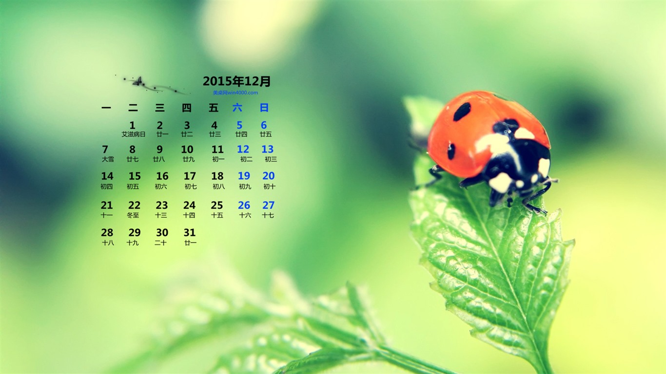 December 2015 Calendar wallpaper (1) #10 - 1366x768